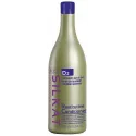 BES Silkat Day By Day D2 Restitutive kondicionieris (1000ml)