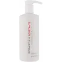 Sebastian Professional Penetraitt maska (150ml)