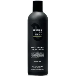 Alfaparf Milano Blends Of Many Rebalancing šampūns
