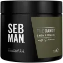 Sebastian Professional Seb Man The Dandy pomāde
