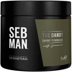 Sebastian Professional Seb Man The Dandy pomāde