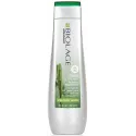 Matrix Biolage FiberStrong šampūns (250ml)