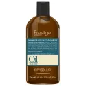 Erreelle Oil Nature Anti-Dandruff шампунь (300мл)