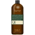 Erreelle Oil Nature Purifying šampūns (1000ml)