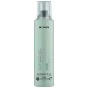 Professional By Fama Style Shine sprejs
