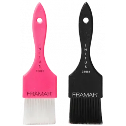 FRAMAR Power Painter color brush set