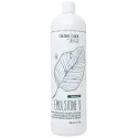 BES Colour Lock Emulsione D kondicionieris (1000ml)