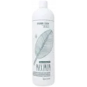 BES Colour Lock Maximum kondicionieris (1000ml)