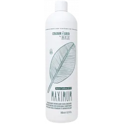 BES Colour Lock Maximum kondicionieris (1000ml)