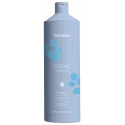 EchosLine Volume kondicionieris (1000ml)