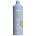 EchosLine Balance šampūnas (1000ml)