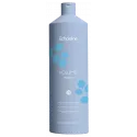 EchosLine Volume šampūns (1000ml)