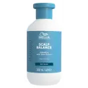 Wella Professionals Invigo Scalp Balance deep cleansing shampoo (300ml)
