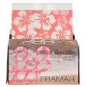 FRAMAR Baecation pop up foil