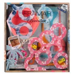 FRAMAR Baecation набор колориста