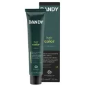 Lisap Milano Dandy matu krāsa vīriešiem
