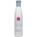 Berrywell Salon шампунь (251мл)