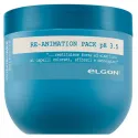 Elgon ColorCare Re-Animation mask