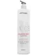 A.S.P Expert Haircare Mode ColourCare shampoo (1000ml)