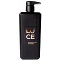 iAM4u LUCE reconstructor treatment